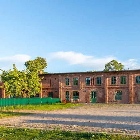 Wellenzauber Am Mueritzufer *